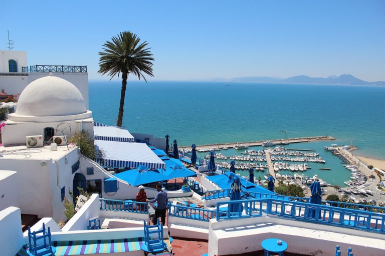 tunisia, nature, city, tourism, beautiful, blue - white, streets, sea, palm trees, historical, vacation, tunisia, хани травел тунис летни аранжмани