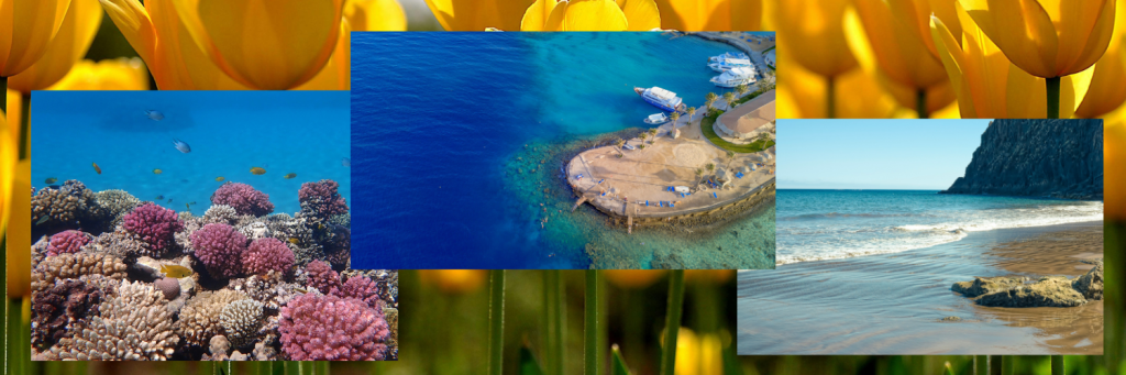 Hurgada-предлог места за посета hani travel ohrid tourist agency