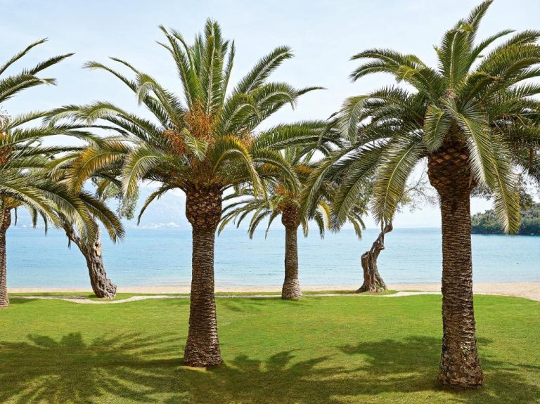 dafnlia, all inclusive, greek hotel, hani travel, greece